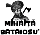 Tricou Mihăiță Bătăiosu'
