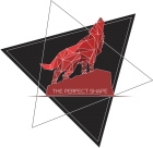 Tricou The perfect shape