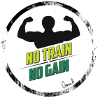 Tricou No Train, No Gain