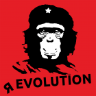 Tricou rEvolution